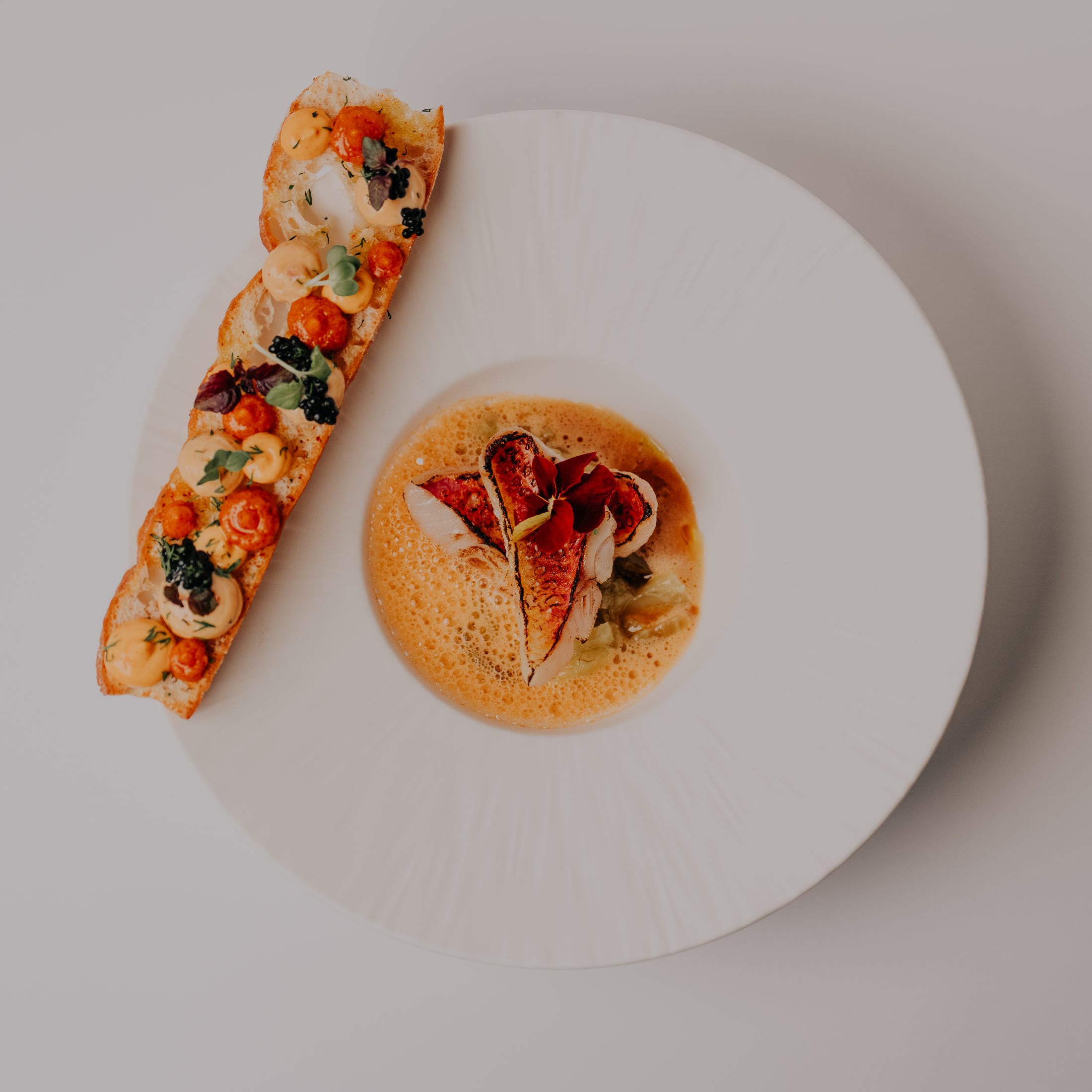 Langoustine et tartine croustillante